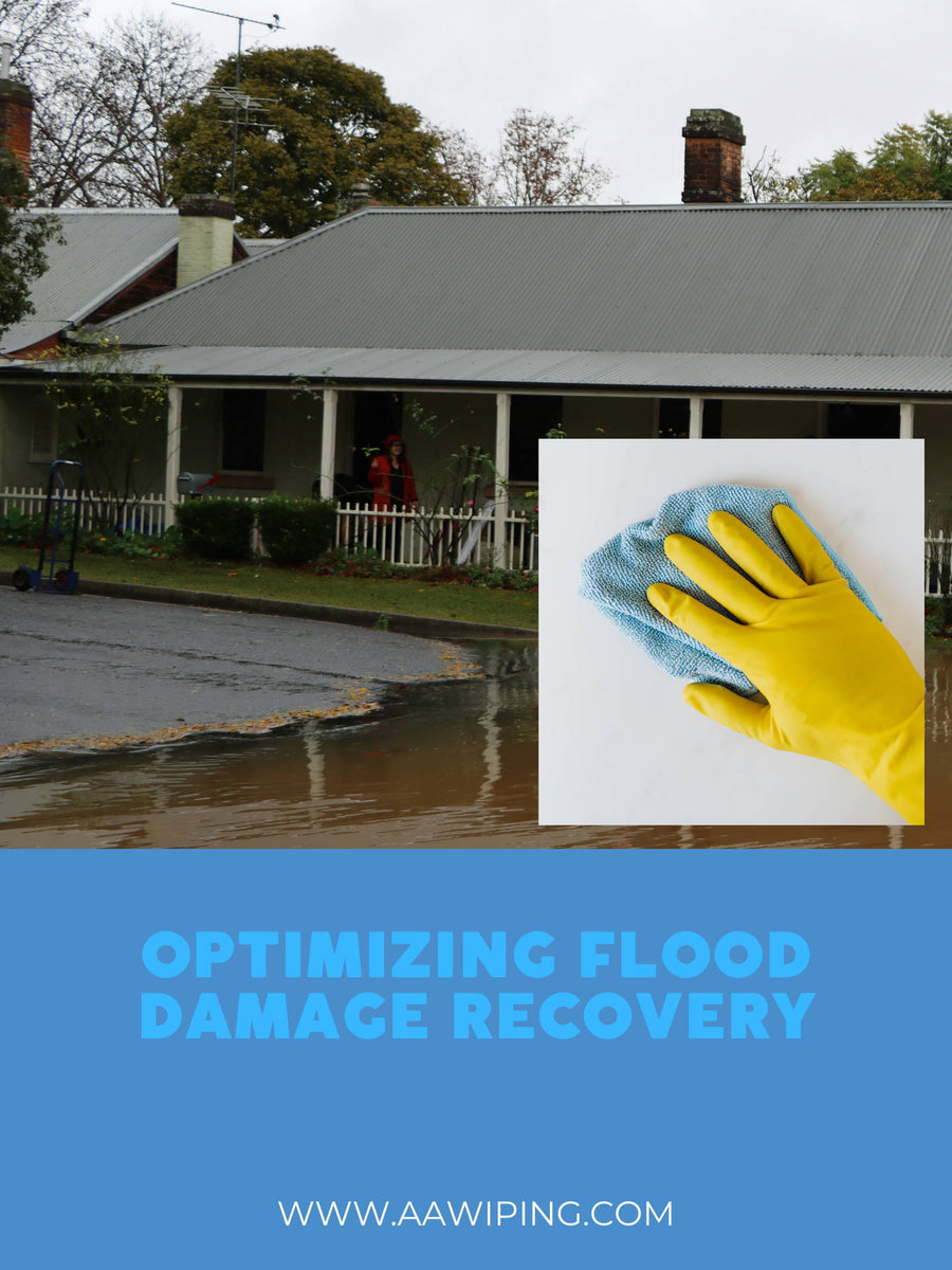 Optimizing Flood Damage Recovery: A Task-by-Task Rag Selection Guide ...